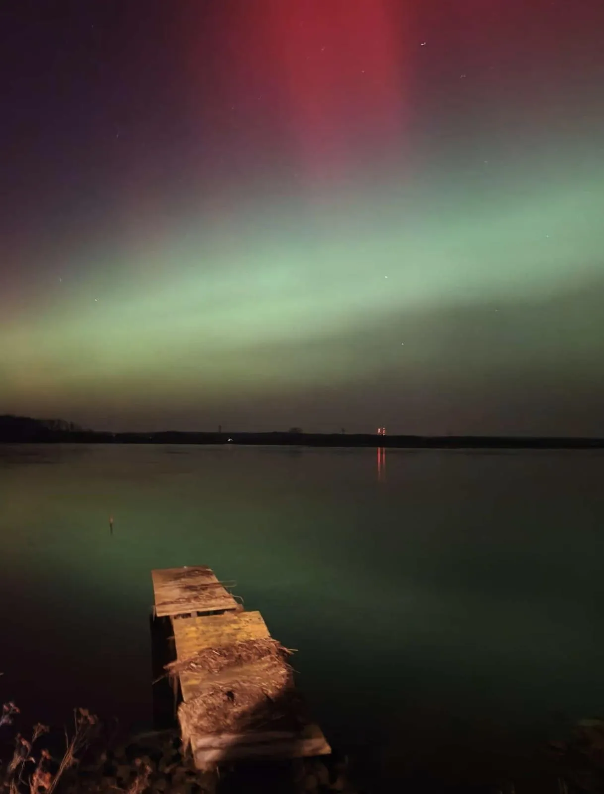 Gras und Fluss von Ferienwohnung Heimathafen & Hafenkante